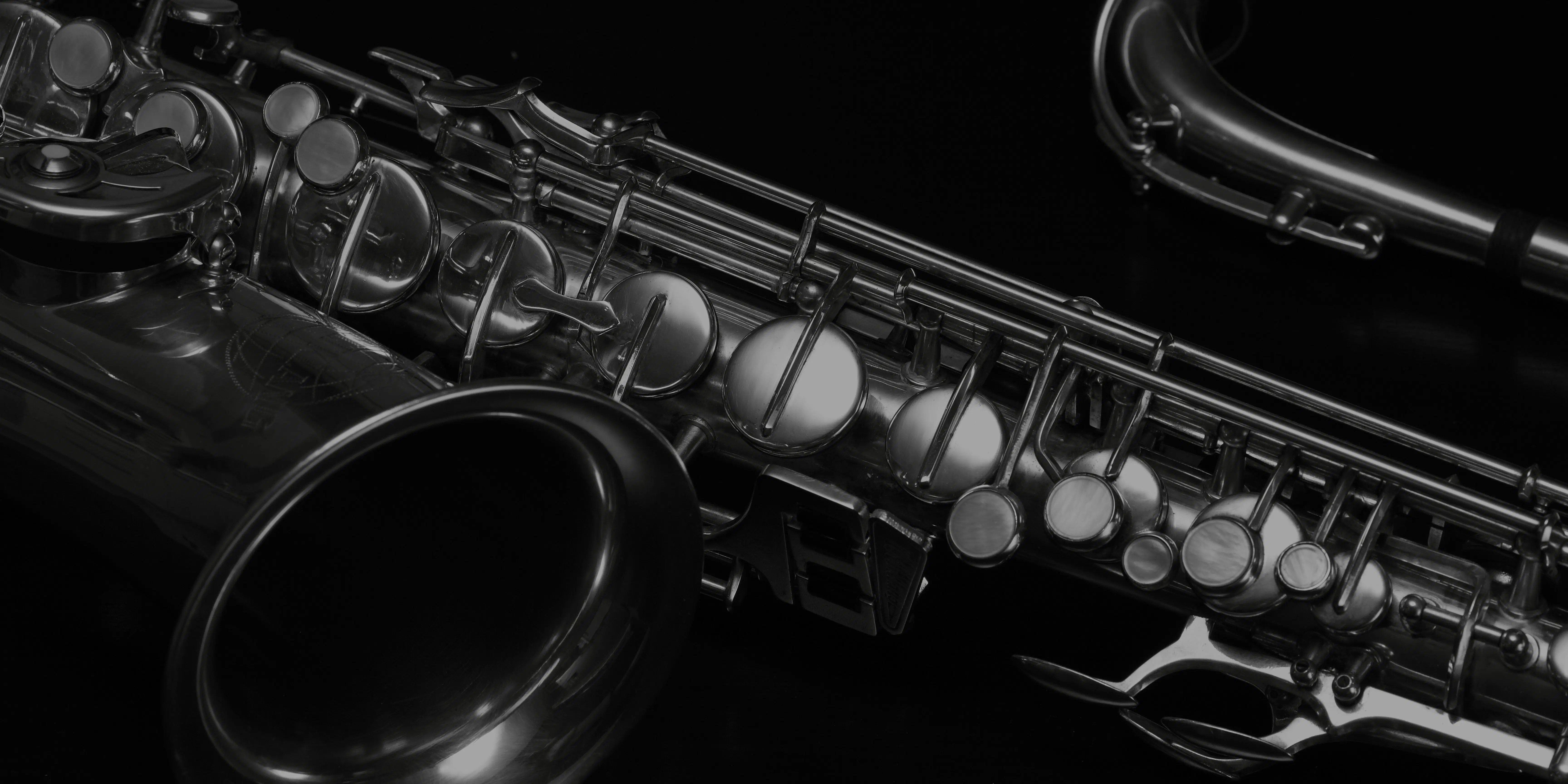 Lofi Loops & Horn Samples